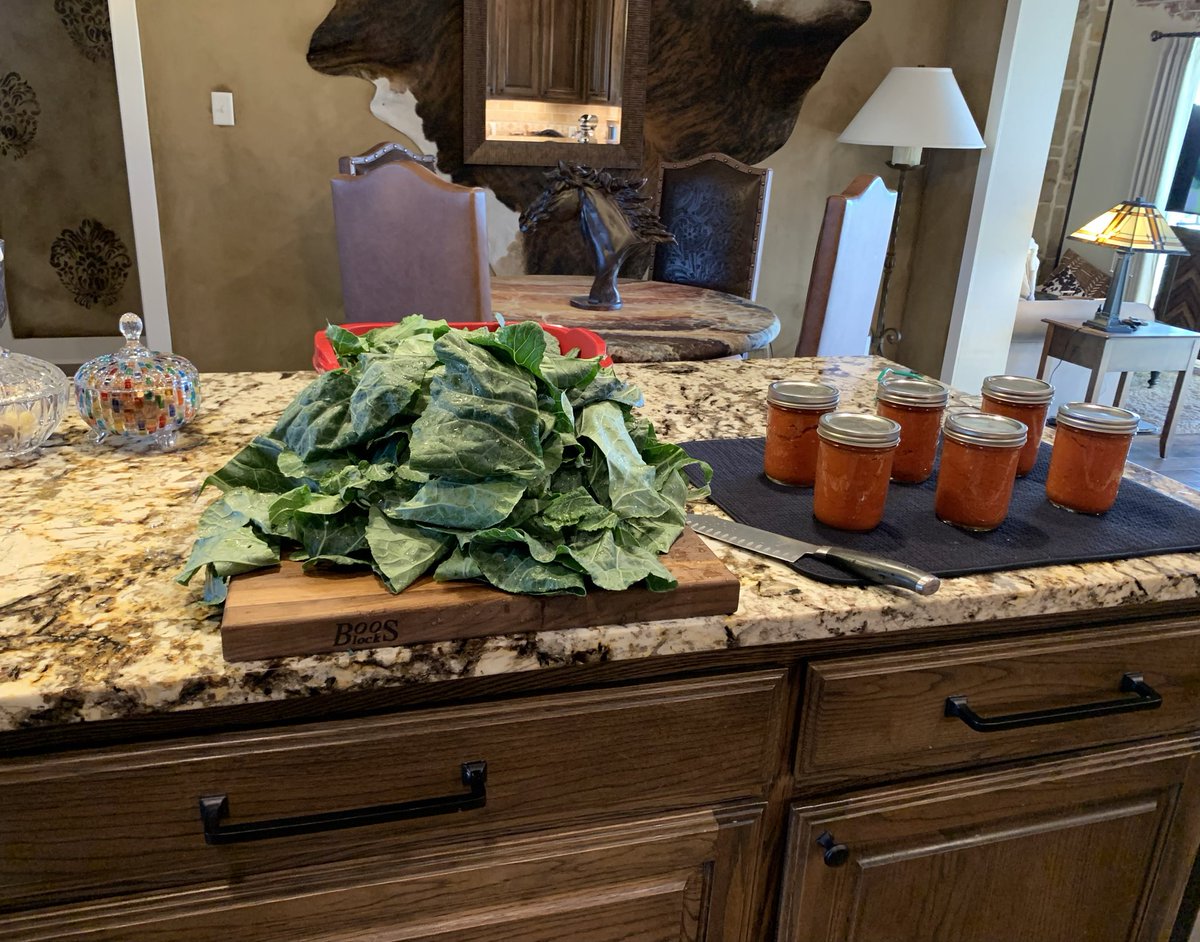 Current situation:

80’s - 90’s country blaring, summer crop of tomatoes in the canner, a mess of greens taking a bath getting ready to go for a swim in the hammock rendered broth. 

You can be a professional outside the home and still enjoy the trad wife.