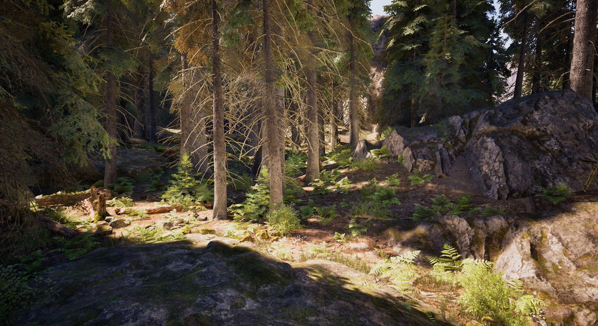 Andrei Ghenoiu tweet media