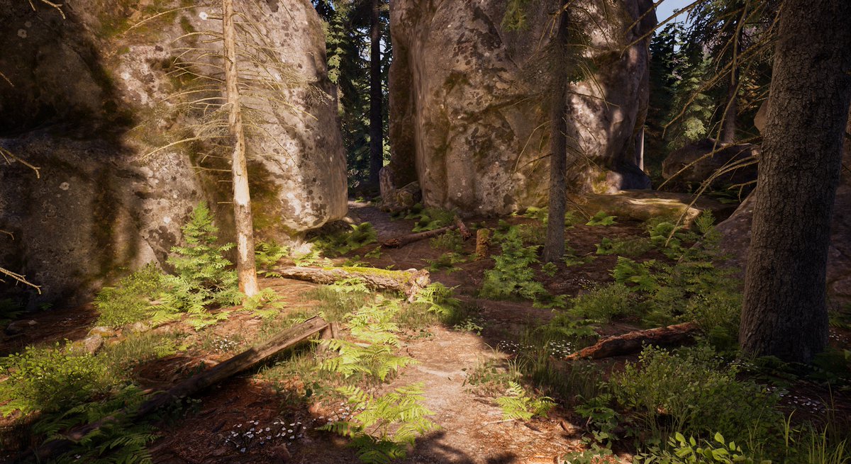 Andrei Ghenoiu tweet media