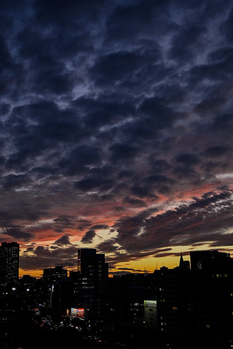 4kimply's tweet photo. #photograghy @photo
#法政大学 #市ヶ谷 https://t.co/09q2Azx7P6