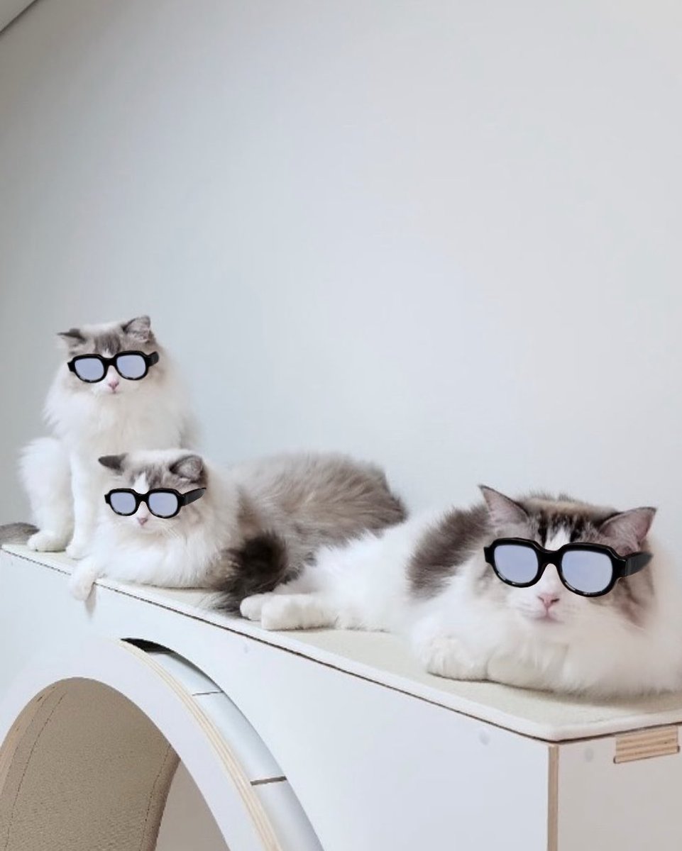 ᴋᴍ.✿ tweet media
