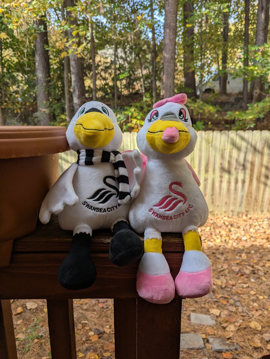 dgeis99's tweet photo. It's porch sitting weather here in Raleigh today! Cyril and Sybil are ready for the beautiful weather and three points today from @SwansOfficial  against @IpswichTown! Come on you Swans!
#jacksathome #globaljacks #mascots #jackscorner #thepooles #porchsitting https://t.co/j3rqiYY65f