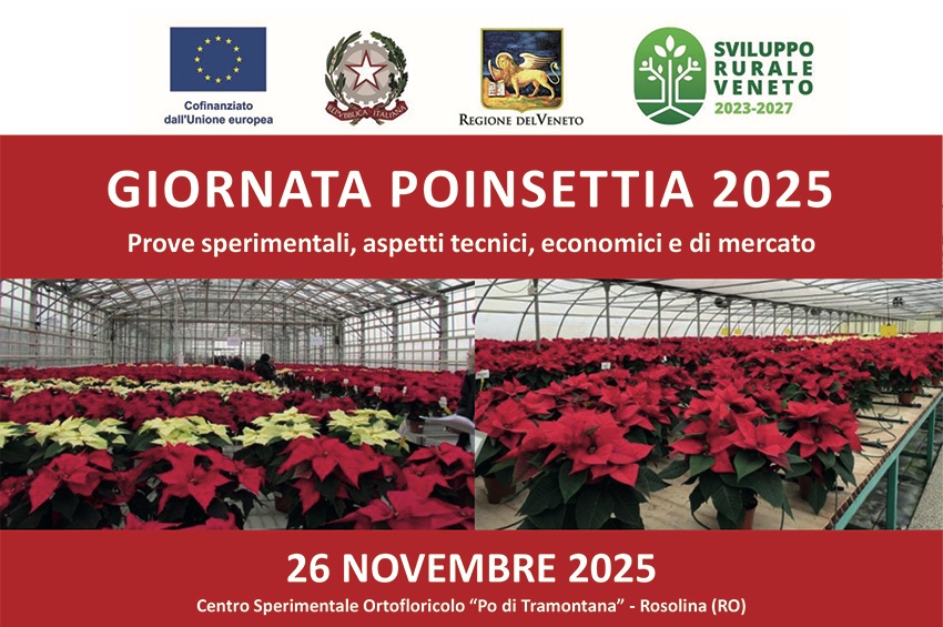 Il 26 Novembre la Giornata Poinsettia 2025 al Centro Sperimentale Ortofloricolo “Po di Tramontana” - IlFloricultore ilfloricultore.it/notizie-on-lin… via <a href="/IlFloricultore/">Il Floricultore</a>