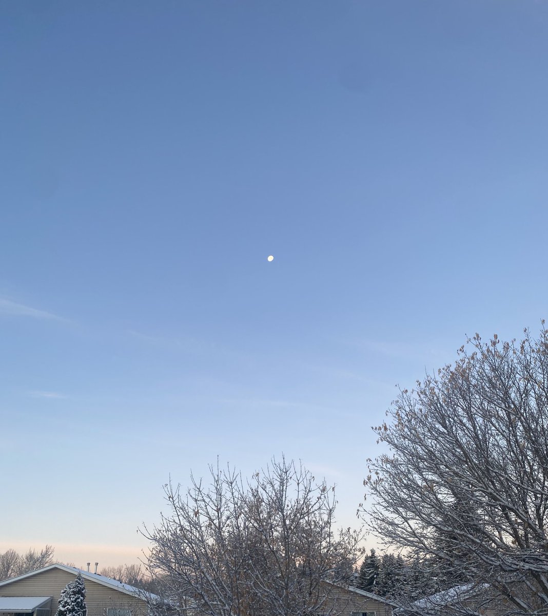 Early morning moon magic! ⚪️
