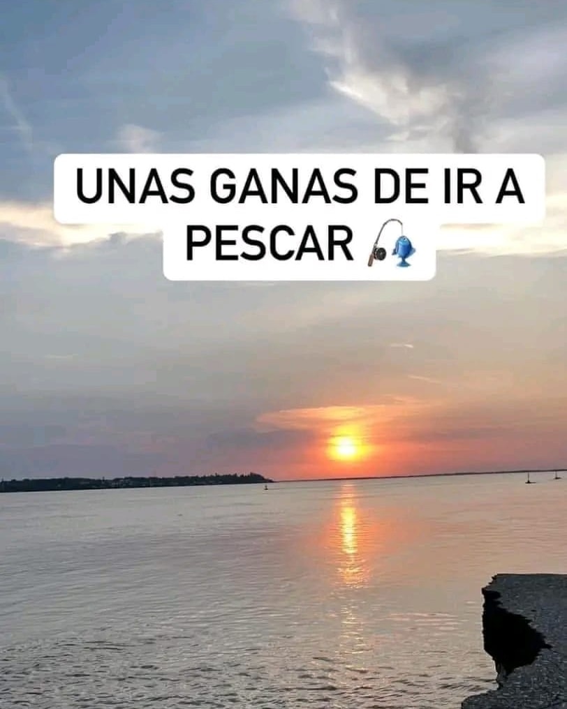 BlogPesca's tweet image. 