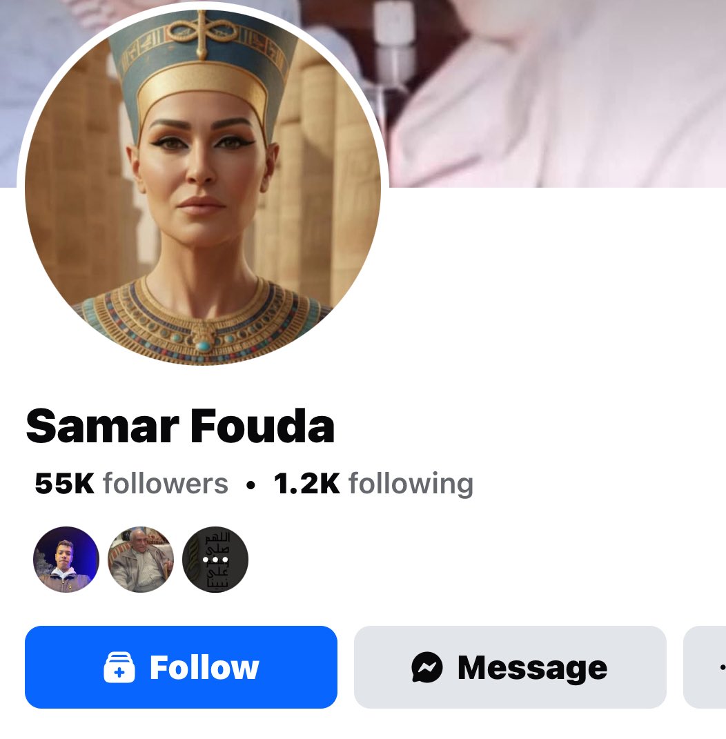 بنت خره فودة حاطة صورة فرعوني اللي هو هويتنا المصرية و بتاع، و اول ما المصريين راحوا المتحف: 
 ايه ده اومال فين الفساتين "الفرنساوي و الايطالي"؟ 
وهما دول يا سيدي بتوع الهوية المصرية بختصار