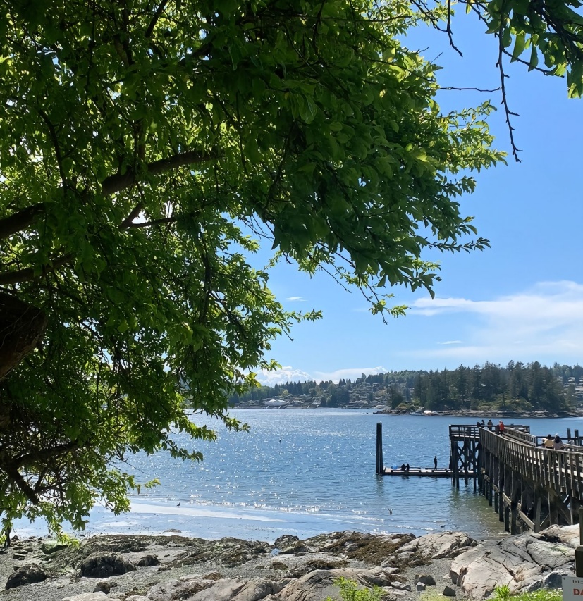 MangetSean's tweet image. An idle youth,a needy age.