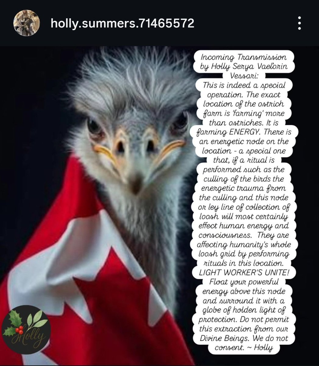HollySu65537916's tweet photo. GRAND rising Angel's 🪽: to my Saturday Transmissions from Spirit.
#transmission #trending #ostrichfarm #ostrich #dreamwork #leyline #nodes #walkinglight #nsicpyschology #transmitter #canada #crime #humanity #humanityfirst #humanityhealing #energyworker #lightworkersofinstagram https://t.co/LCPm5ceT6i