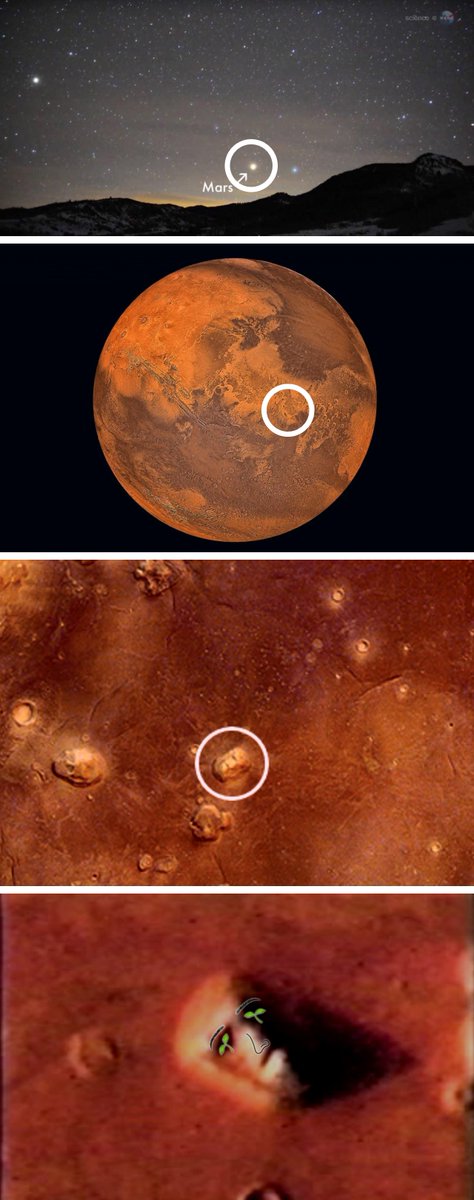 anon.xch 🌱 tweet media