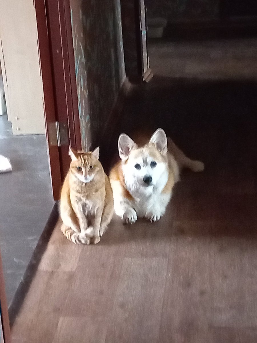 Забрал бы, но...