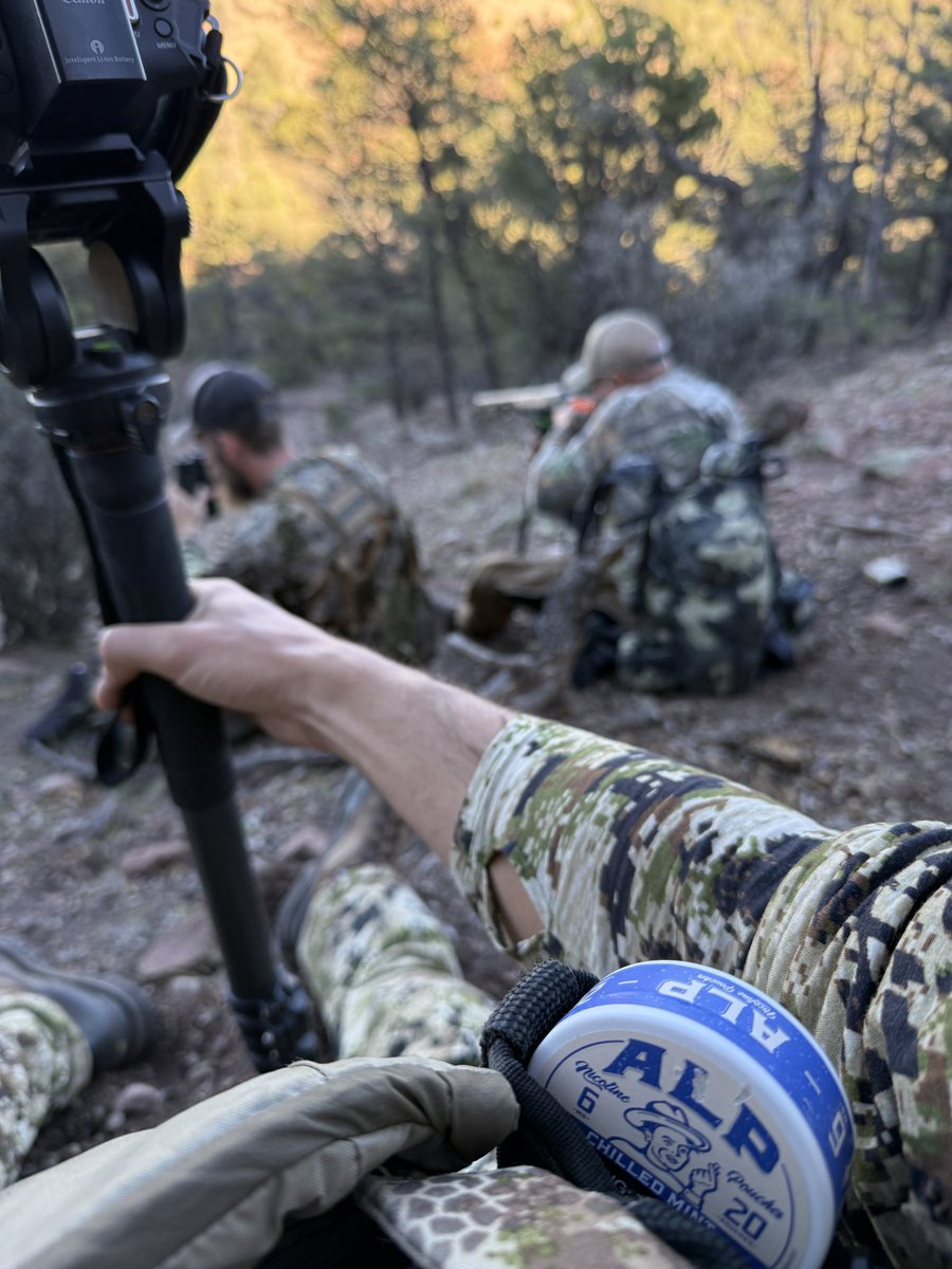 Zack Vucurevich (@zackvucurevich) on Twitter photo 