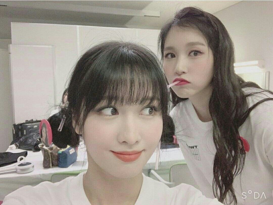 mimo thinker tweet media
