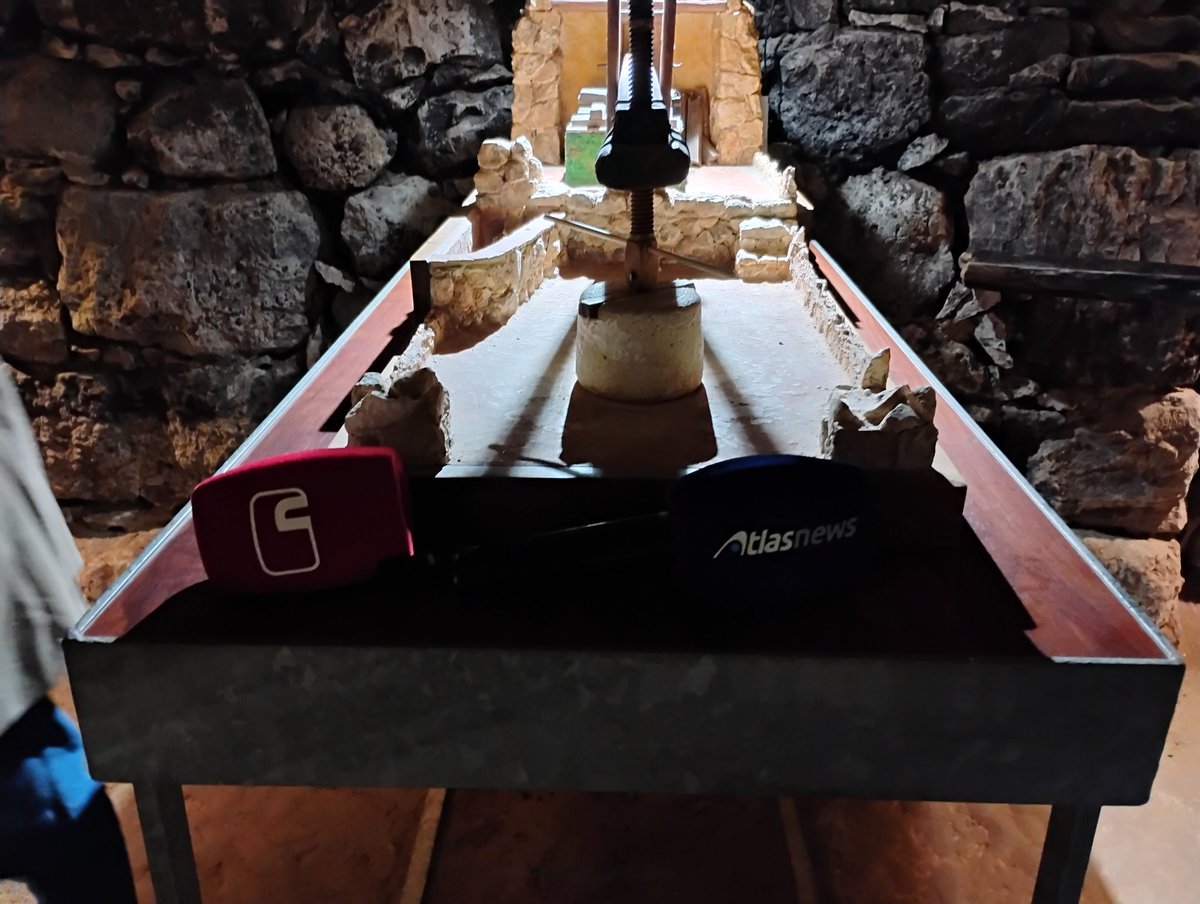 bodega.aulamuzvino tweet media