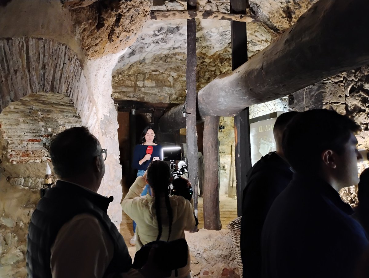 bodega.aulamuzvino tweet media