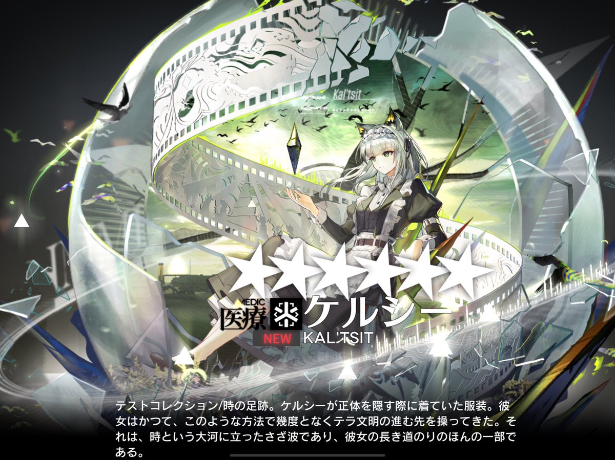 キキ カムイピリカ12kg 一生一度は与えたい神フード キキ様専用