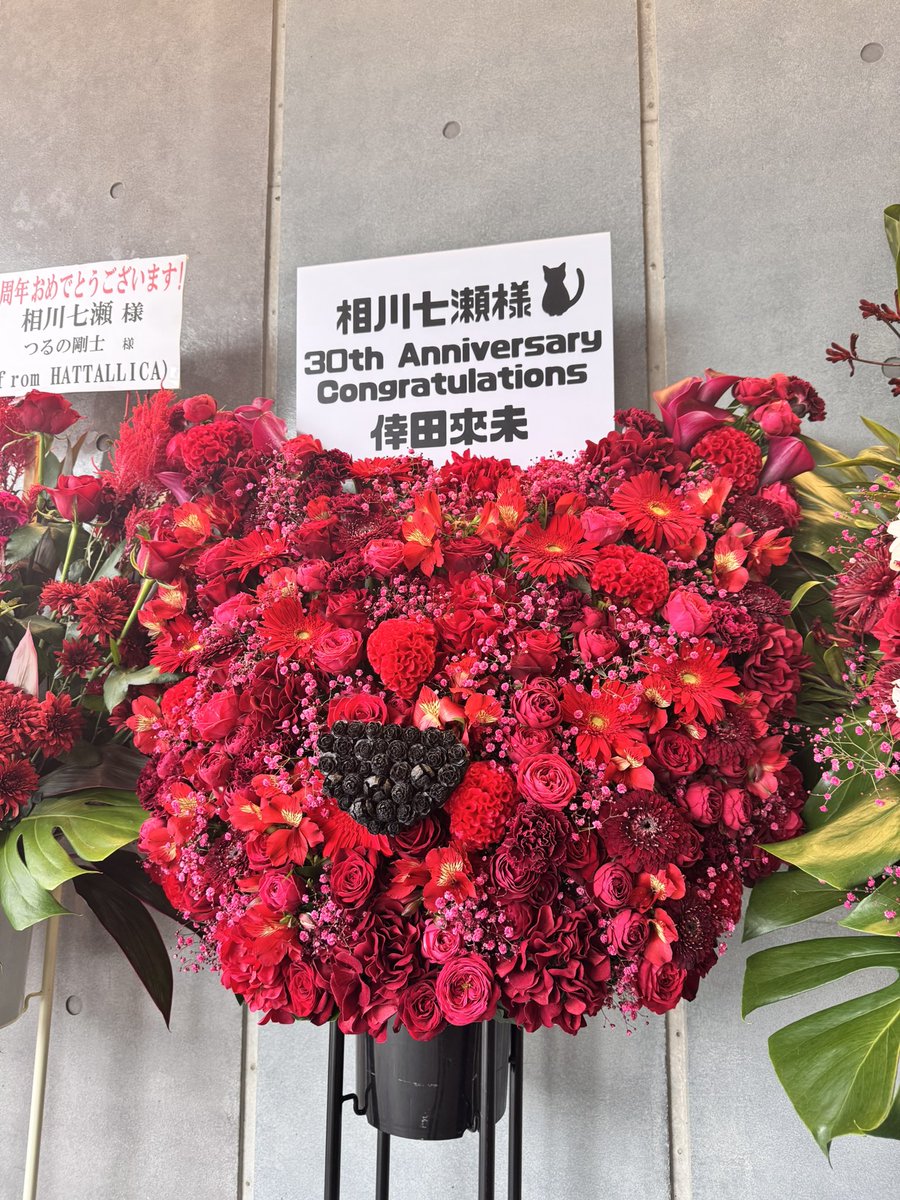 ayme321's tweet photo. 倖田來未さんからのお花
猫ちゃんで可愛かった😍

#相川七瀬 #BIGBANG #30周年 #倖田來未 https://t.co/mWaoa40EH8