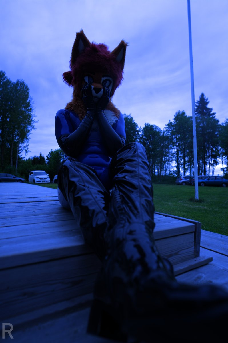 Fun shiny angle for #squeakysaturday 
📷: @/RolandAdventure