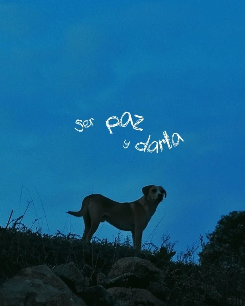 escritosrame's tweet image. 