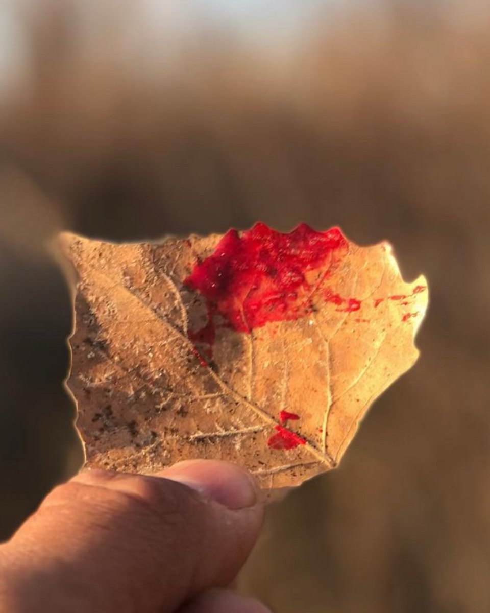 huntography tweet media