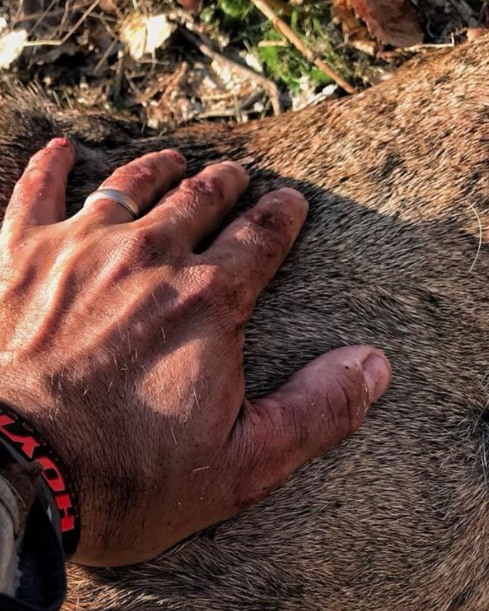 huntography tweet media