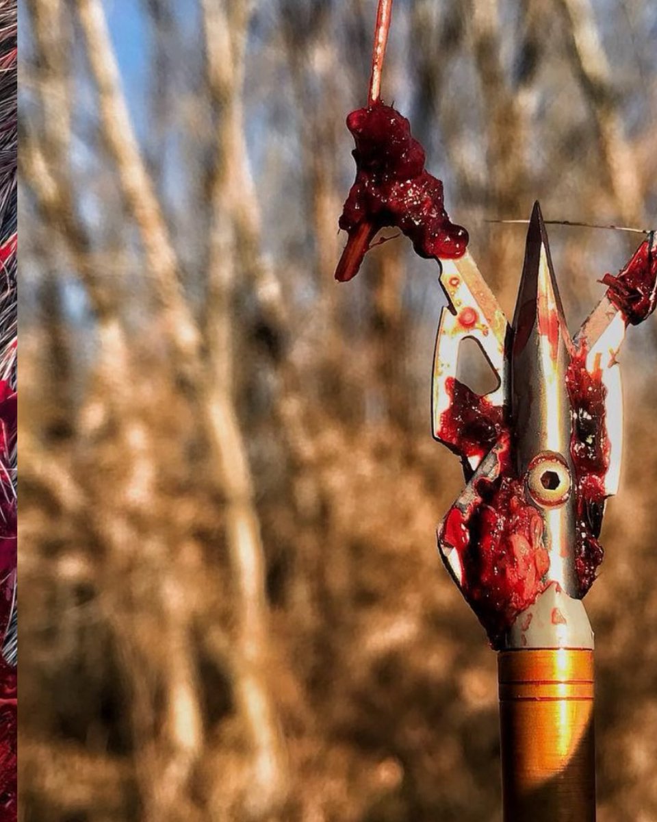 huntography tweet media