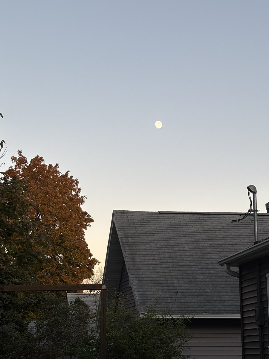 Chris Rouw tweet media