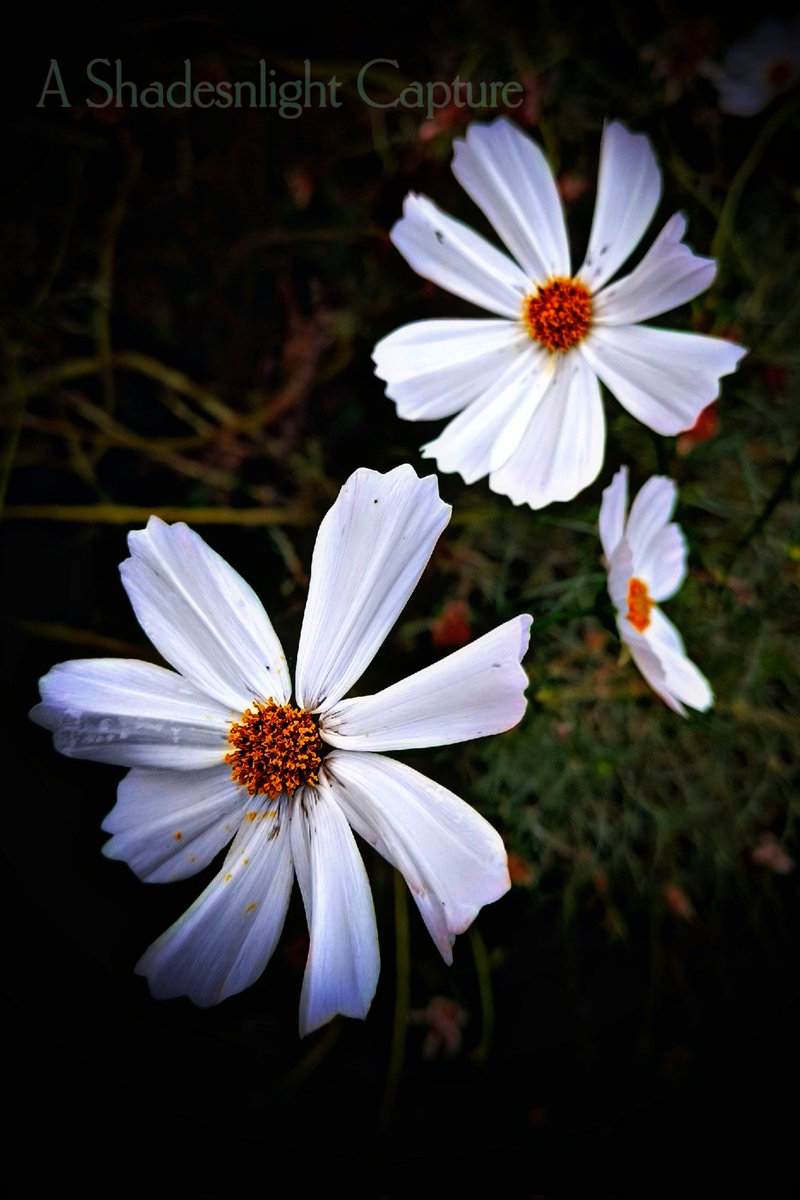 Sivasubramanian R tweet media