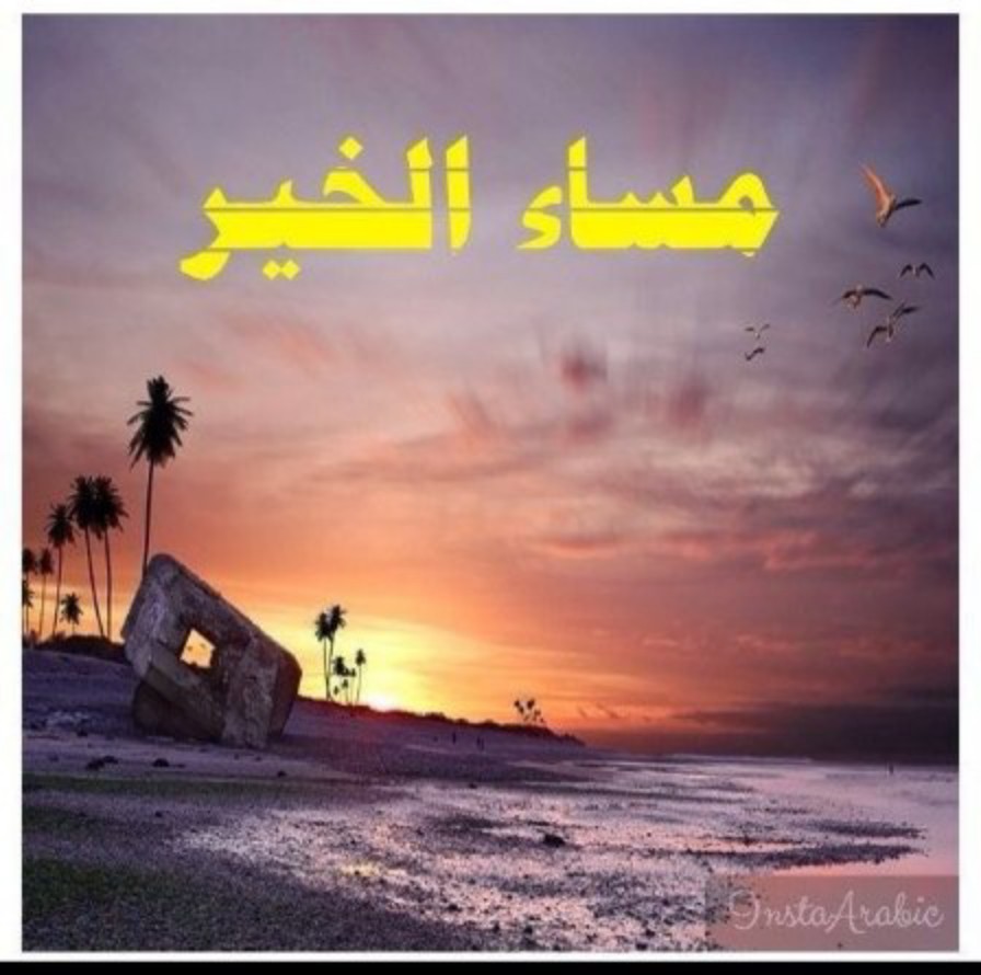 هل الغائبون ؟!!

يشعرون الأن بما نكتب من أجلهم ..

أم حروفنا أوجعت قلوبا ليس لها ذنب ..🥀

🌸#أسعدالله_مسائكم_بكل_خير🌸