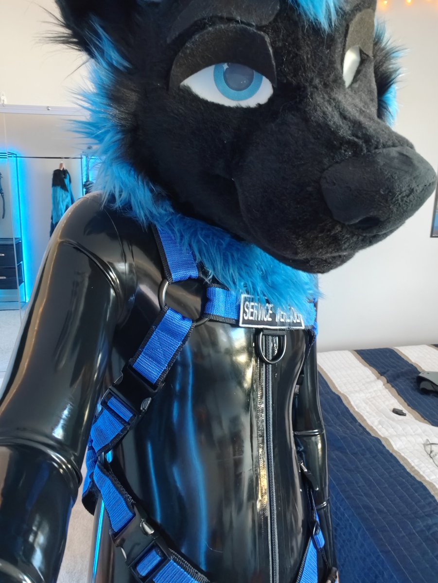 POV: you're his next target to become a shiny creature 🩵✨

#ShinySaturday #SqueakySaturday