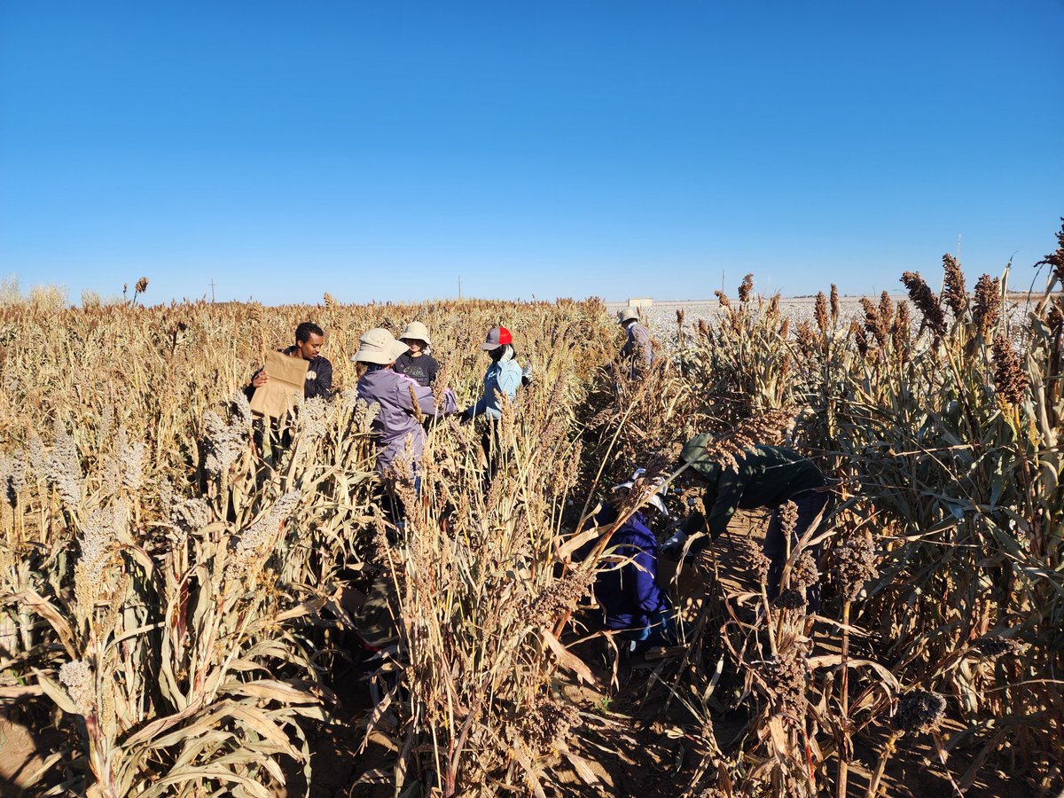 Saini DK tweet media