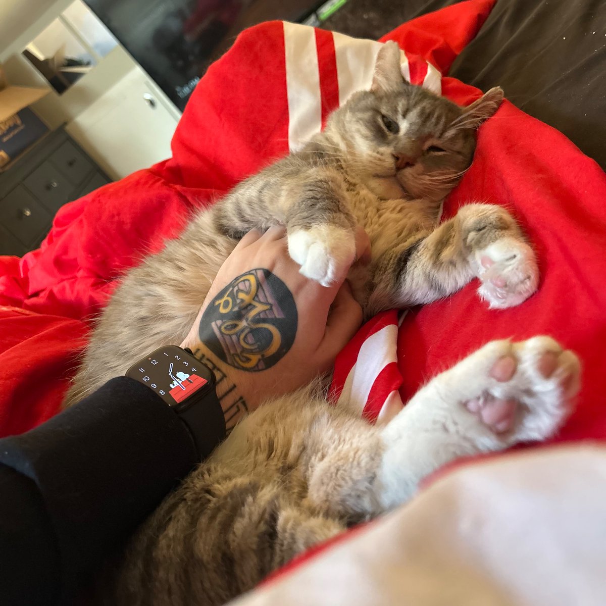 wormiebjohnson's tweet image. Is mine Cousin Tonka Truck not mee, bunt h e  is still Very Flatt Funk