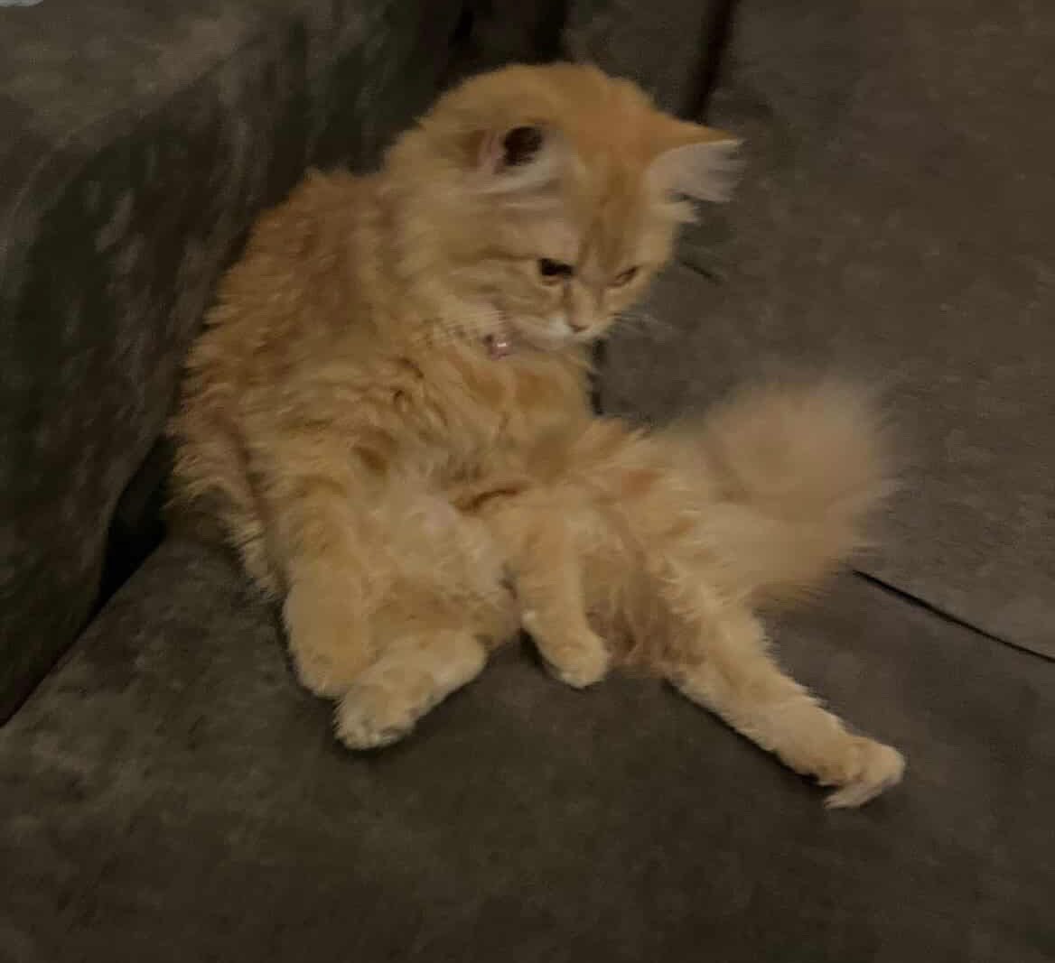 diffwl's tweet image. دخل الشتاء رسميا