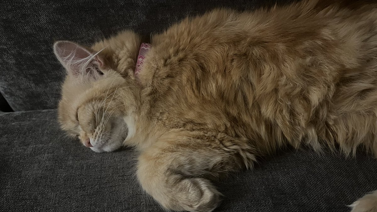 diffwl's tweet image. دخل الشتاء رسميا