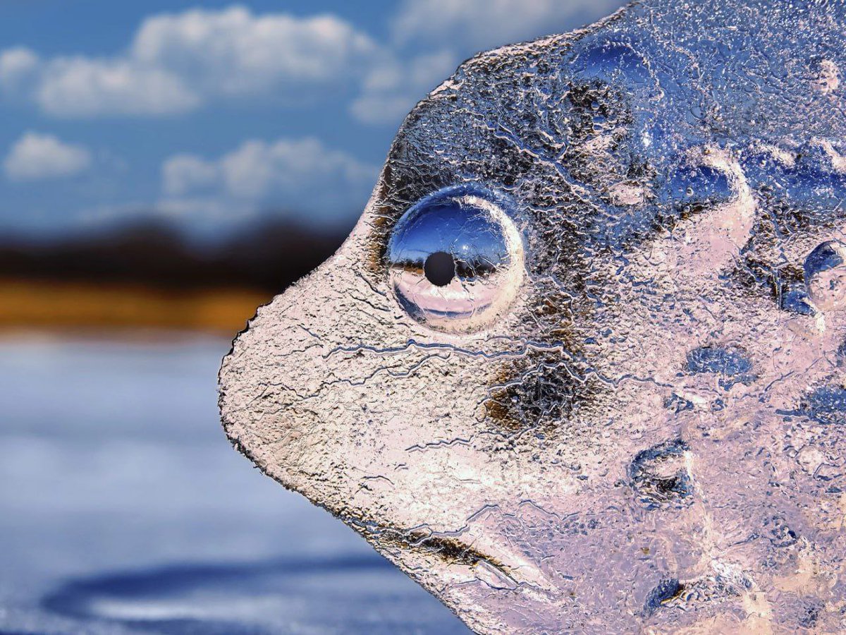 📸 🇷🇺 Les invitamos a ver unas fotos fascinantes del concurso internacional de fotografía "El país más bello" organizado por <a href="/rgo_ru/">РГО</a>.

👉 t.me/MAERusia/6540

Reúne las mejores fotografías de la vasta y diversa #Rusia, sus paisajes, arquitectura, pueblos y estilos de vida.