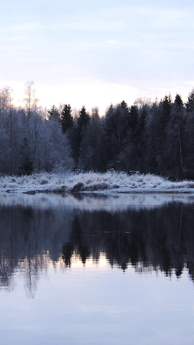 eija_tt's tweet image. 🤍
#November #reflection #NatureTherapy #Finland #photographylovers