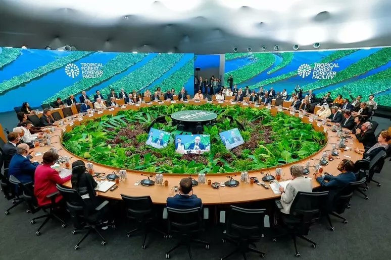 Nace un fondo multimillonario para proteger los bosques tropicales - Haga clic ver también ☛  periodismodelmercosur.com.ar/nace-un-fondo-… a través de <a href="/forodebaires/">Foro de Baires</a>