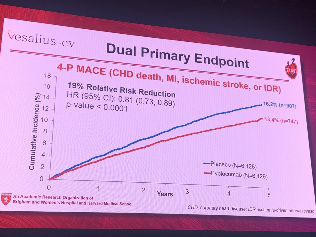 TIZIANA C ARANZULLA (@tcaranzulla) on Twitter photo 