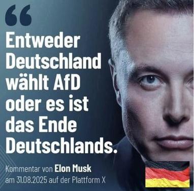 Stimmt ihr Elon Musk zu?🤔