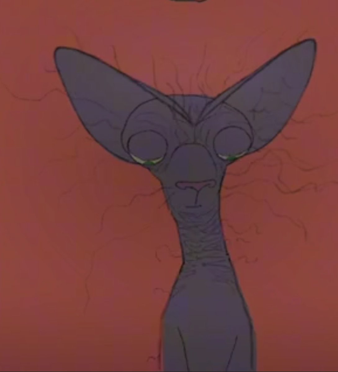 I have a question again today 😎 

What are the qualifications needed for one to be a New anchor at <a href="/nbstv/">NBS Television</a> particular for that 9pm news (NBSlive@9)?🤦🏾