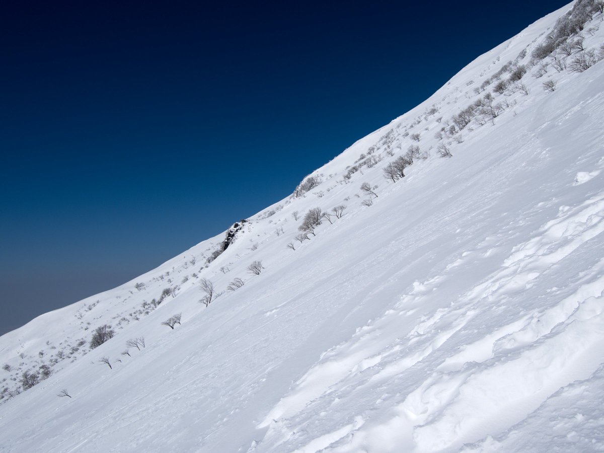 アノニマス様 アノニマス様 おあ様 匿名配送】nima ZX-(24)STEL-(1)(W)