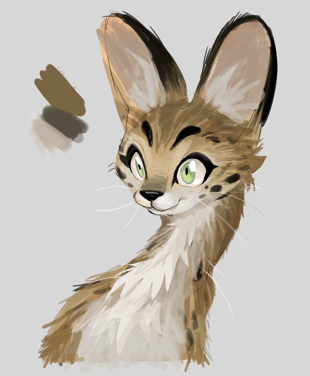 MangoJamyam's tweet photo. Serval sketch🐱 https://t.co/9yEvwQxfGF