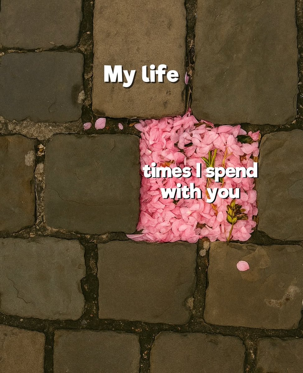 Out Of Context Animals (@animalscontexts) on Twitter photo 