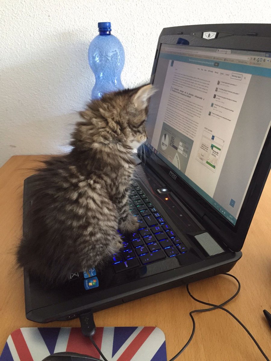 คำค้นหากูเกิล : วิธีสั่งอาหารเปียกเก็บปลายทาง