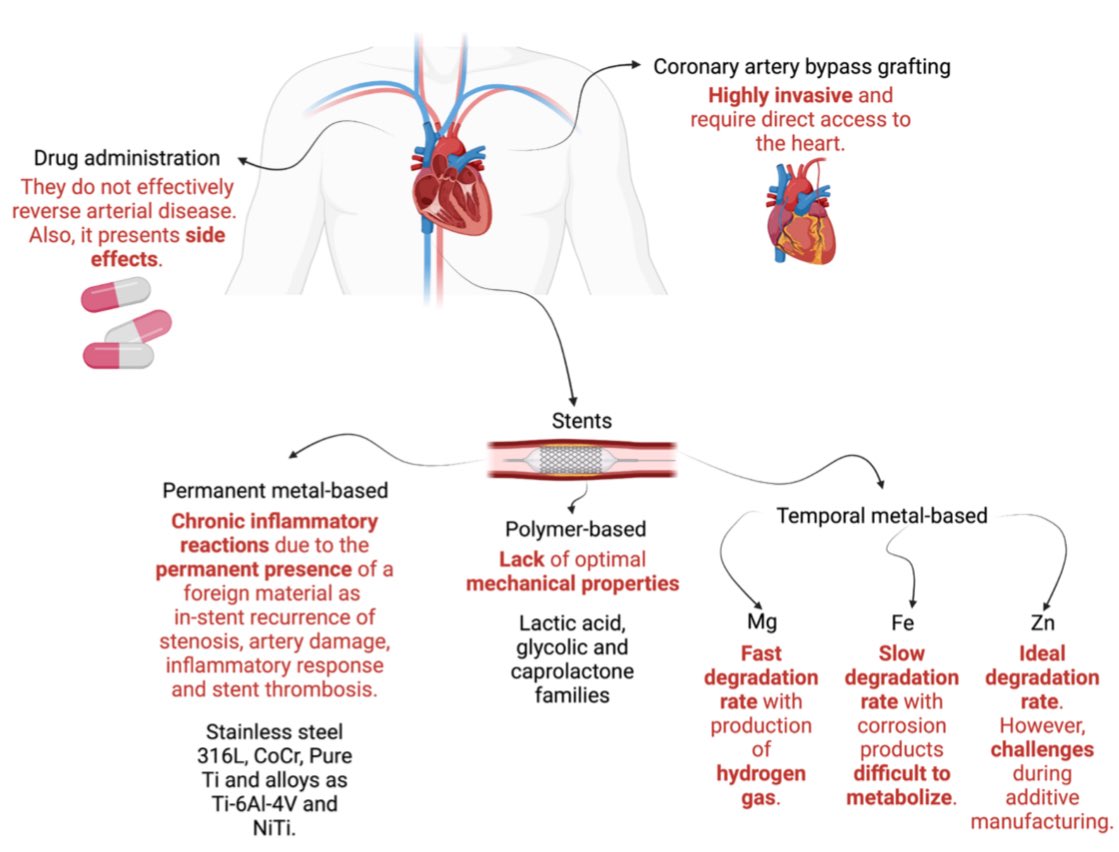 BioMaterials Group tweet media