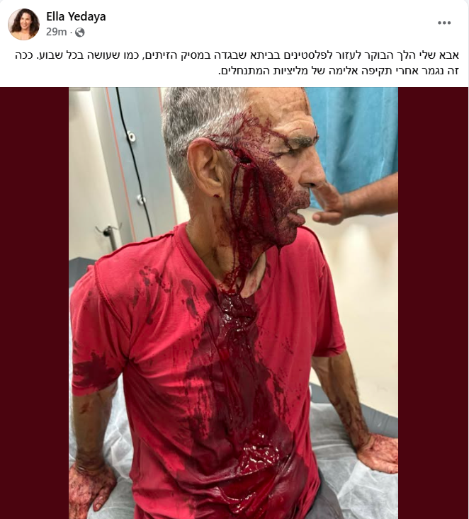 הקרן החדשה לישראל tweet media