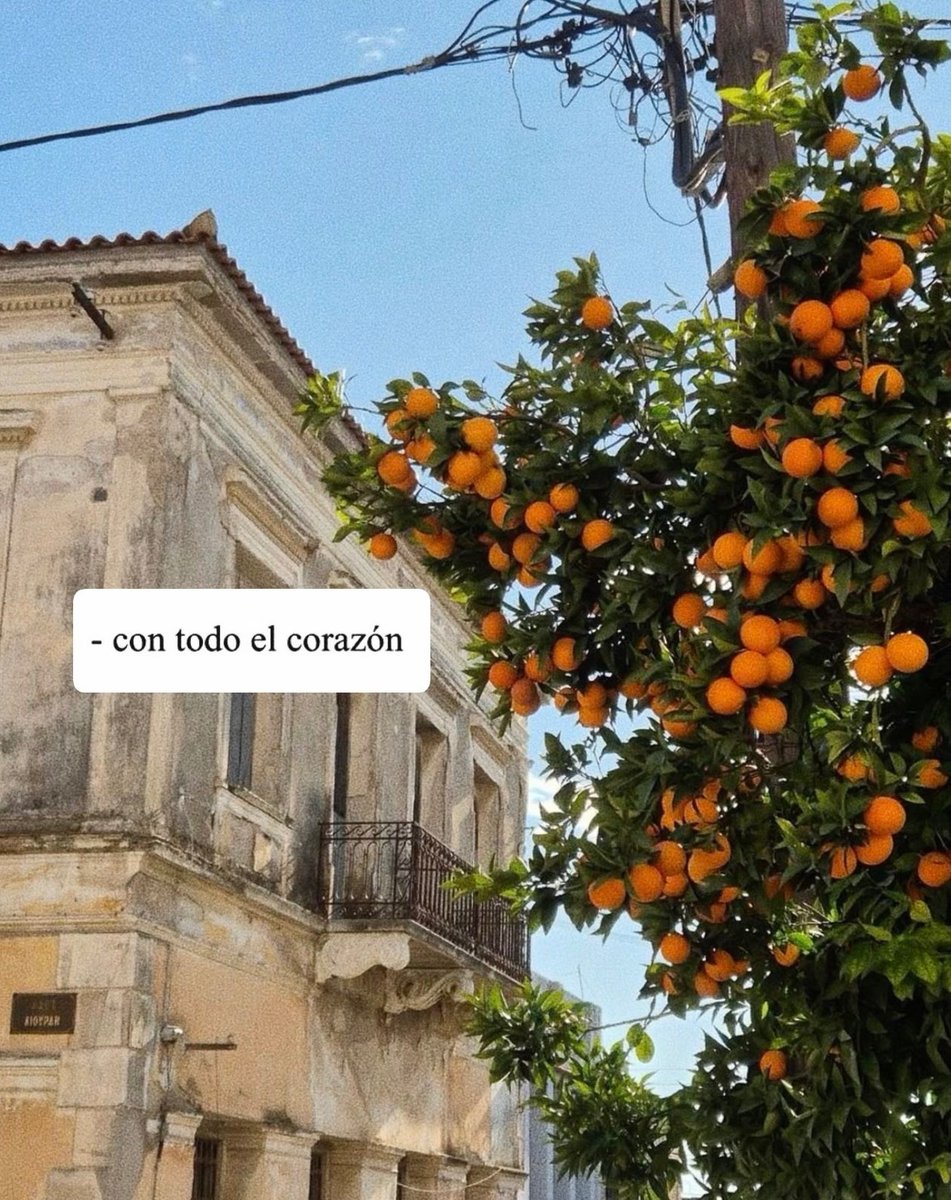 nación (@escritosnacion) on Twitter photo 