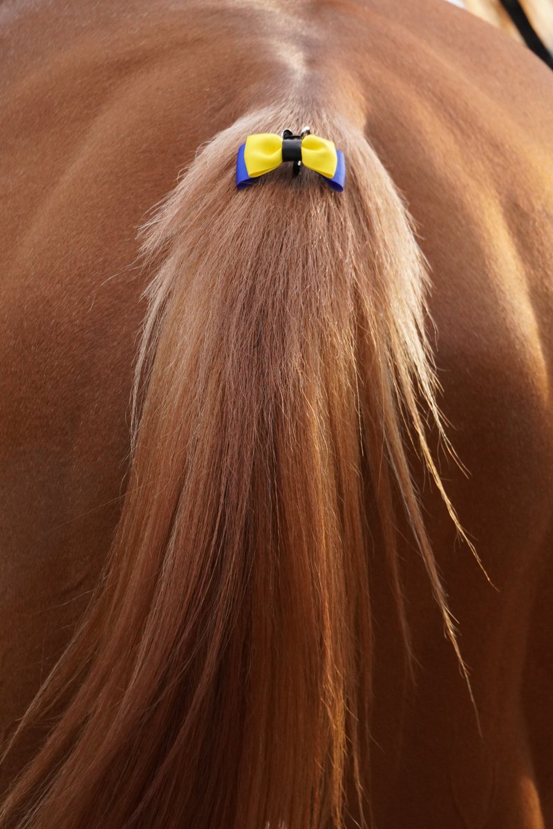 9月のネコ (@3Wenx7uFWKHne1W) / Posts / X