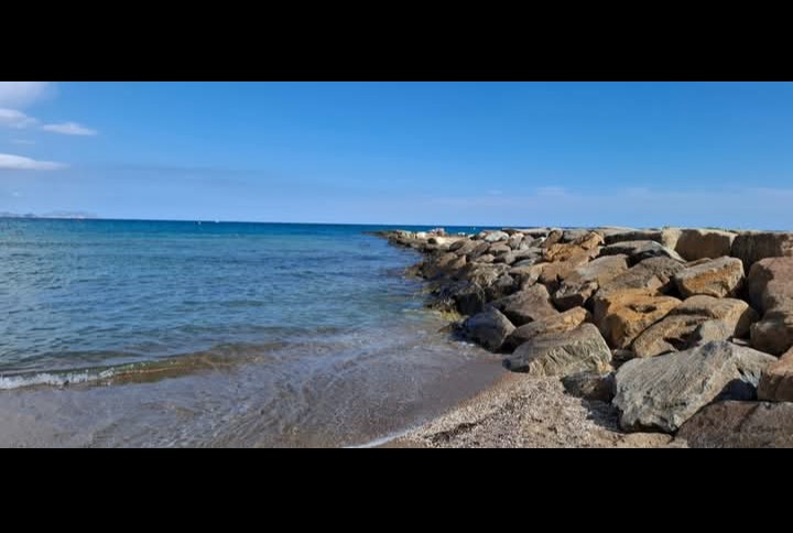 Que tarde tan bonita! ☕🥂🍾 💜🌺