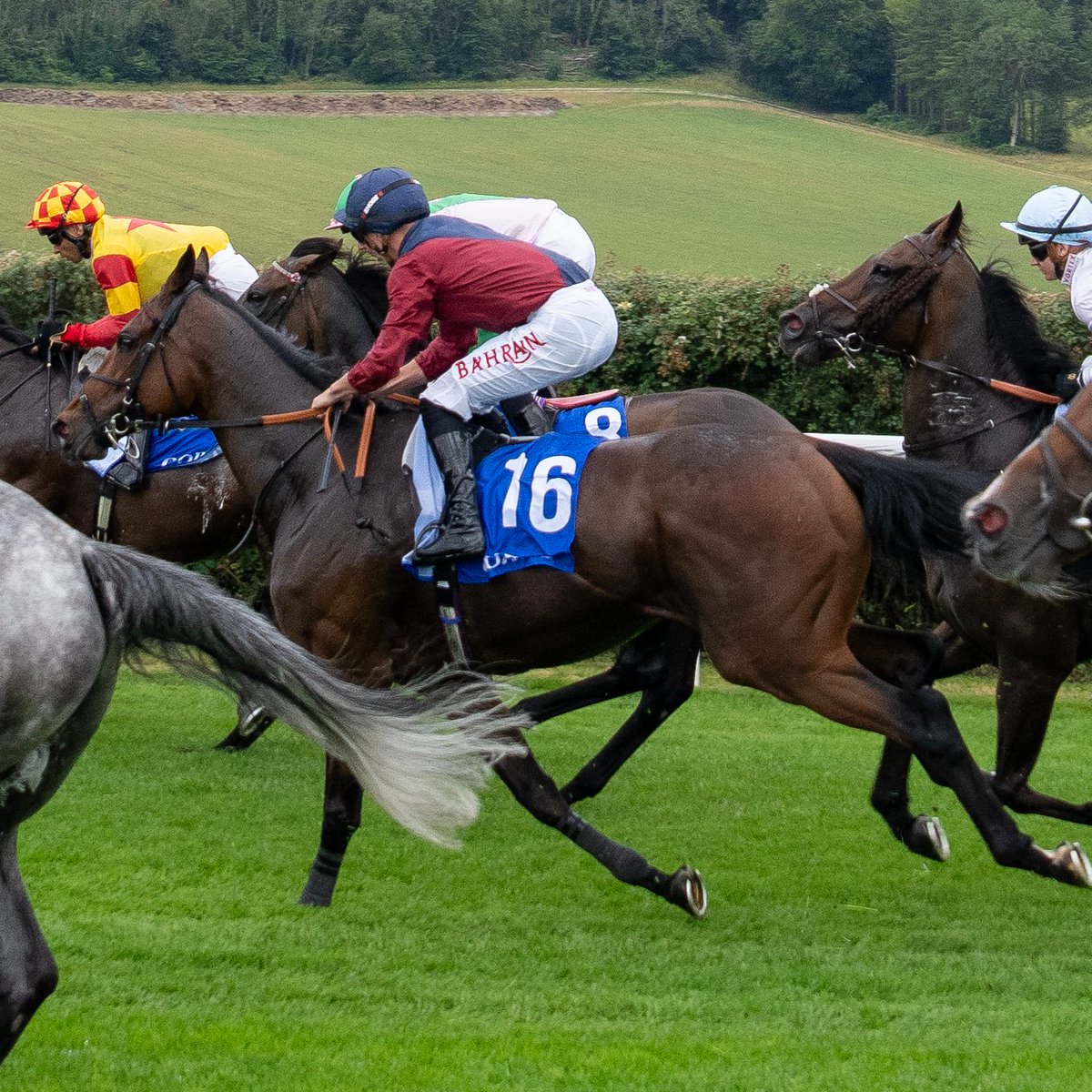 RacingPost's tweet image. CASTLE COVE wins the November Handicap at Doncaster 👏