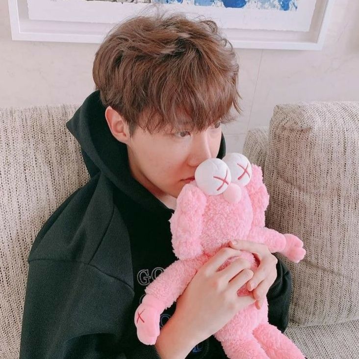 Bangtaneas_'s tweet photo. Today's theme is pink plushie because I wanted to use a specific photo and as you can see, 2Seok both have a photo that fits that theme perfectly 😂

#Jhope #2025MAMAVOTE https://t.co/YxlPN48xrp